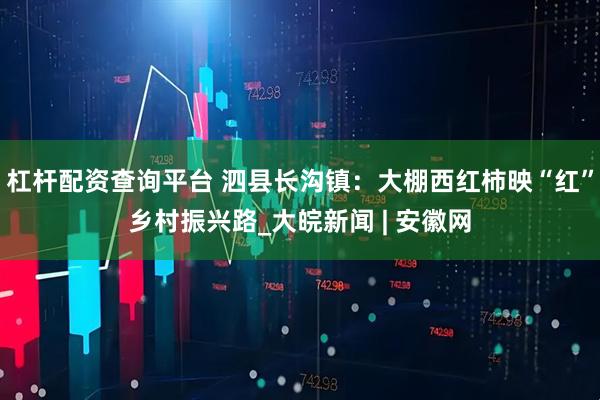 杠杆配资查询平台 泗县长沟镇：大棚西红柿映“红”乡村振兴路_大皖新闻 | 安徽网